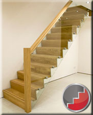 Z-Vision contemporary staircase